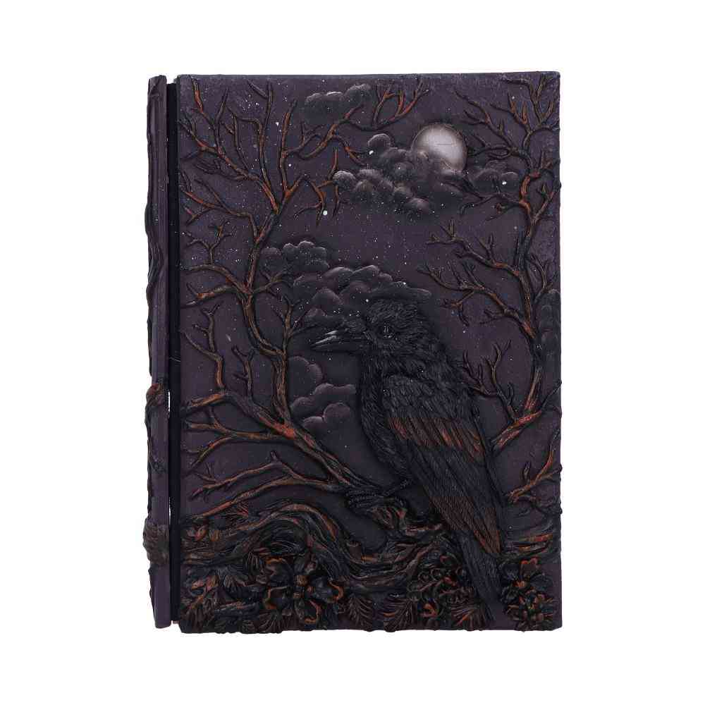 Nemesis Now - Raven's Grimoire Carnet de notes - Multicolore